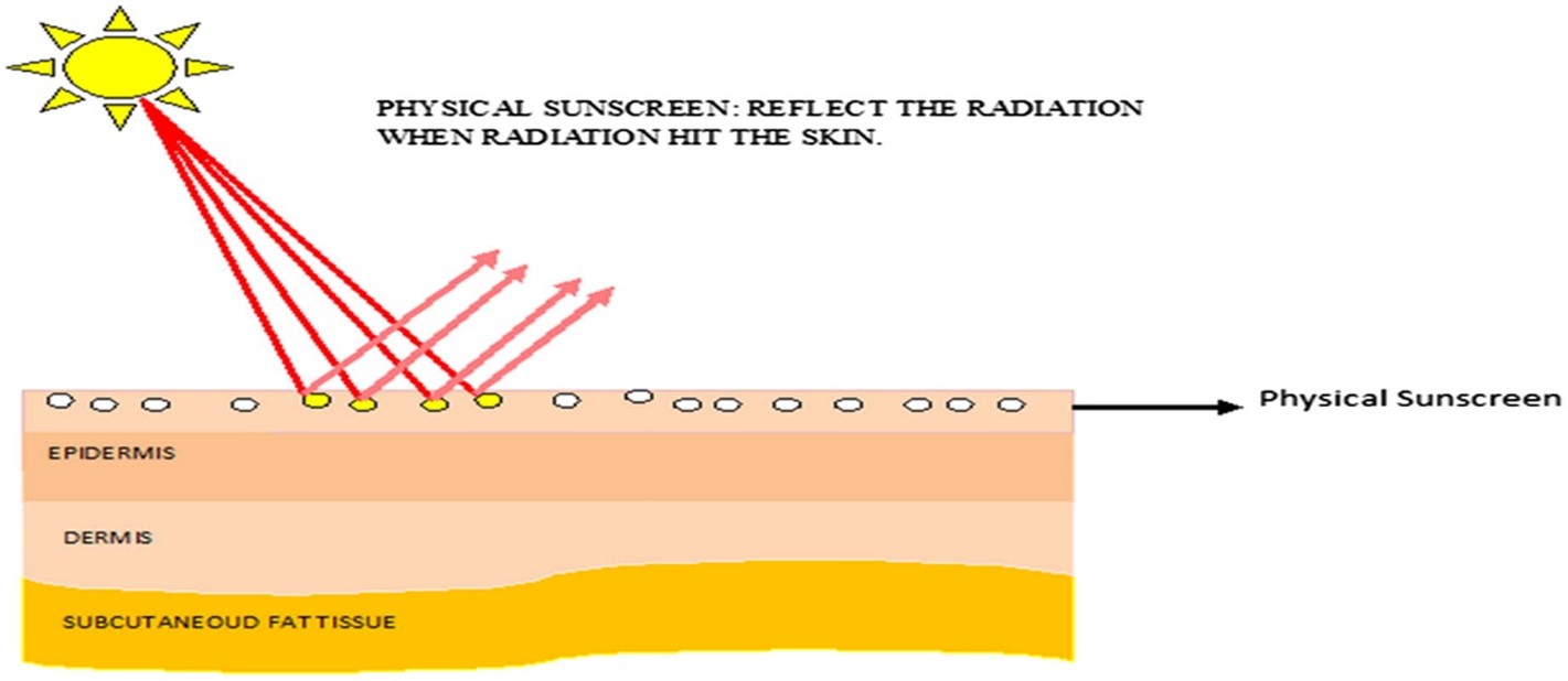 Crèmes solaires minérales et chimiques