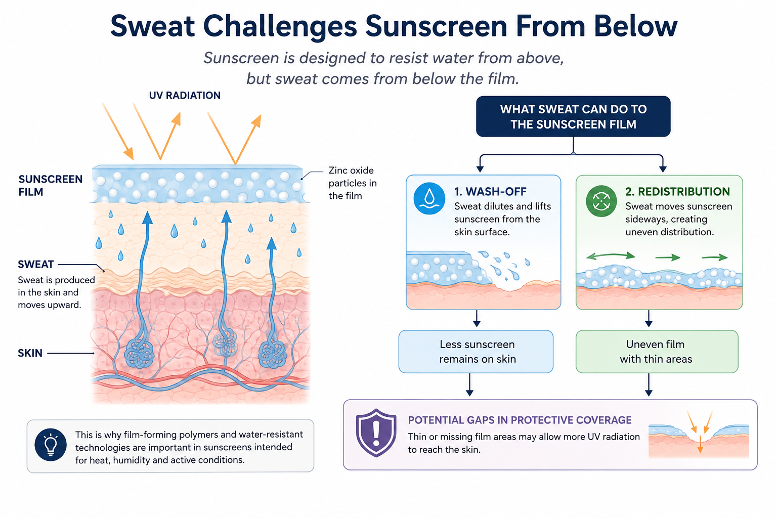 Sunscreen Formula